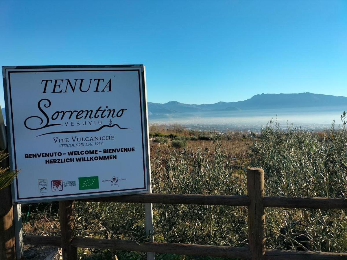Vesuvio Inn Bed & Wine Experience Boscotrecase Bagian luar foto