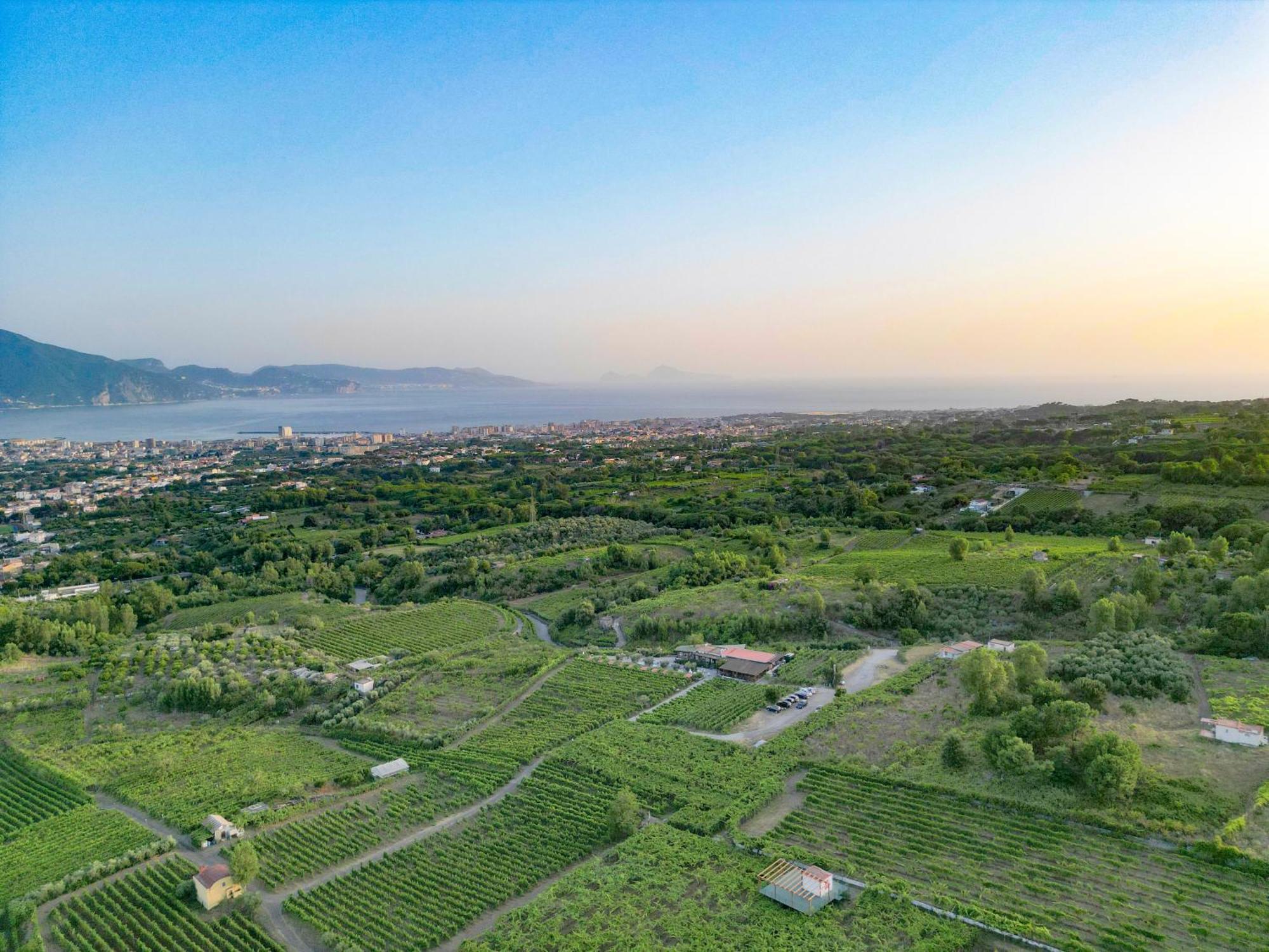 Vesuvio Inn Bed & Wine Experience Boscotrecase Bagian luar foto