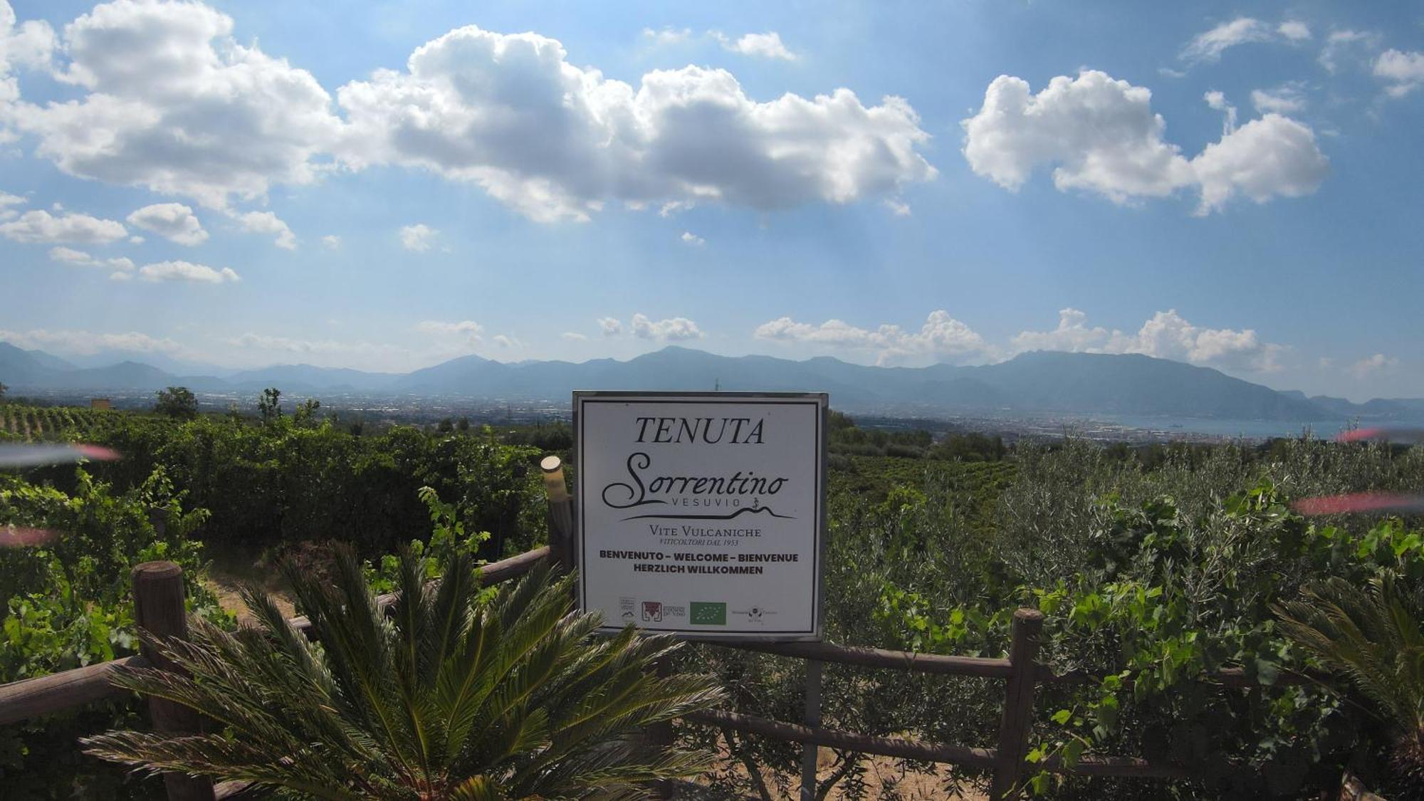 Vesuvio Inn Bed & Wine Experience Boscotrecase Bagian luar foto