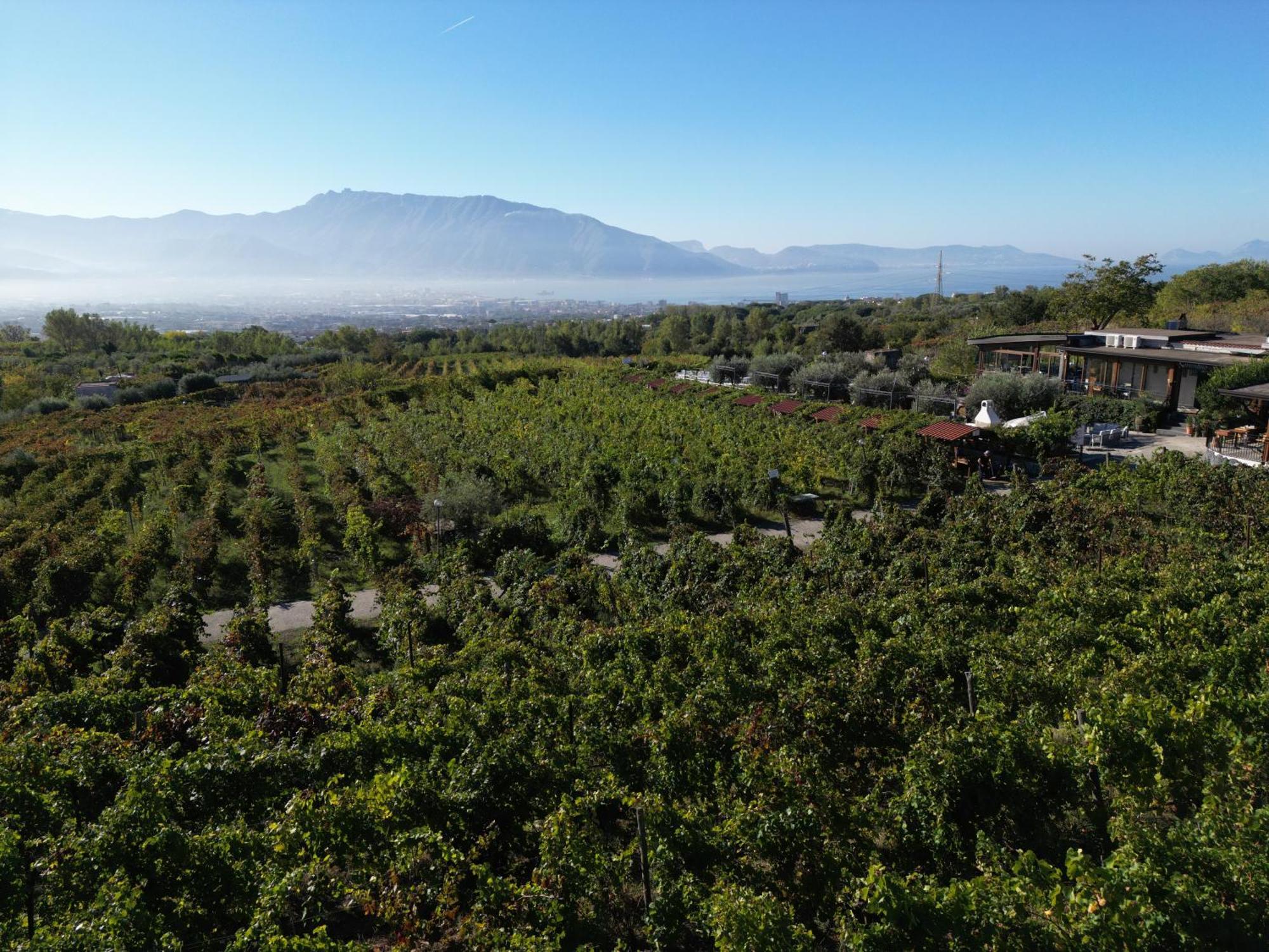 Vesuvio Inn Bed & Wine Experience Boscotrecase Bagian luar foto