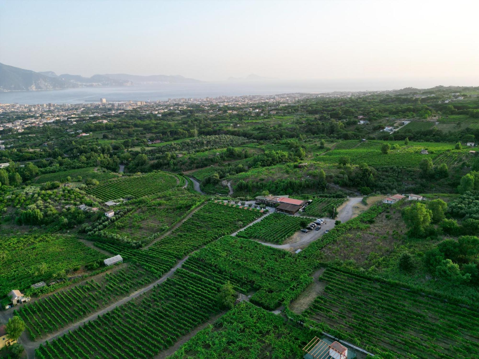 Vesuvio Inn Bed & Wine Experience Boscotrecase Bagian luar foto
