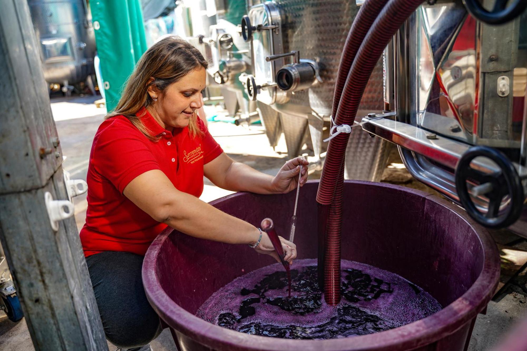 Vesuvio Inn Bed & Wine Experience Boscotrecase Bagian luar foto