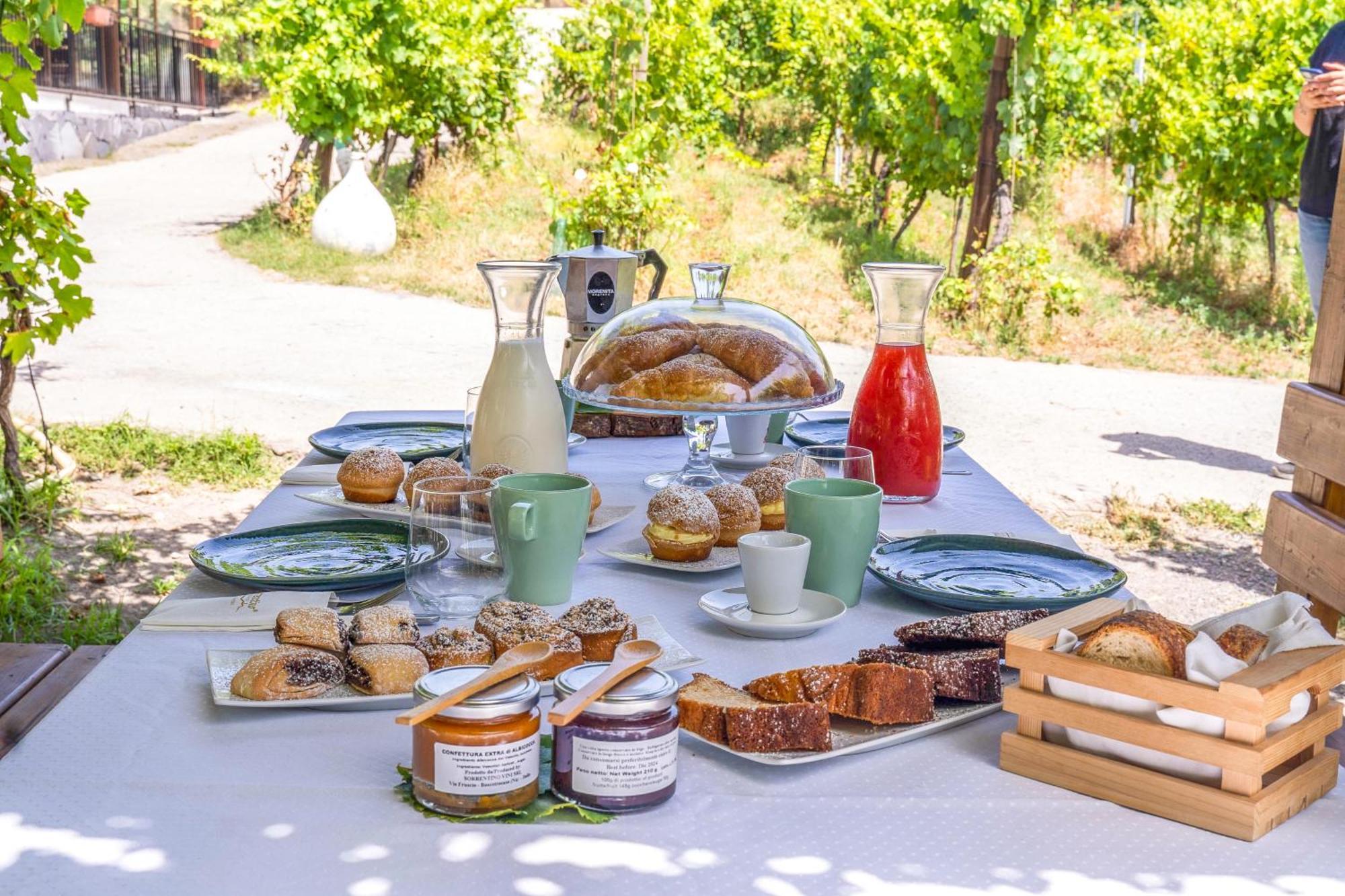 Vesuvio Inn Bed & Wine Experience Boscotrecase Bagian luar foto