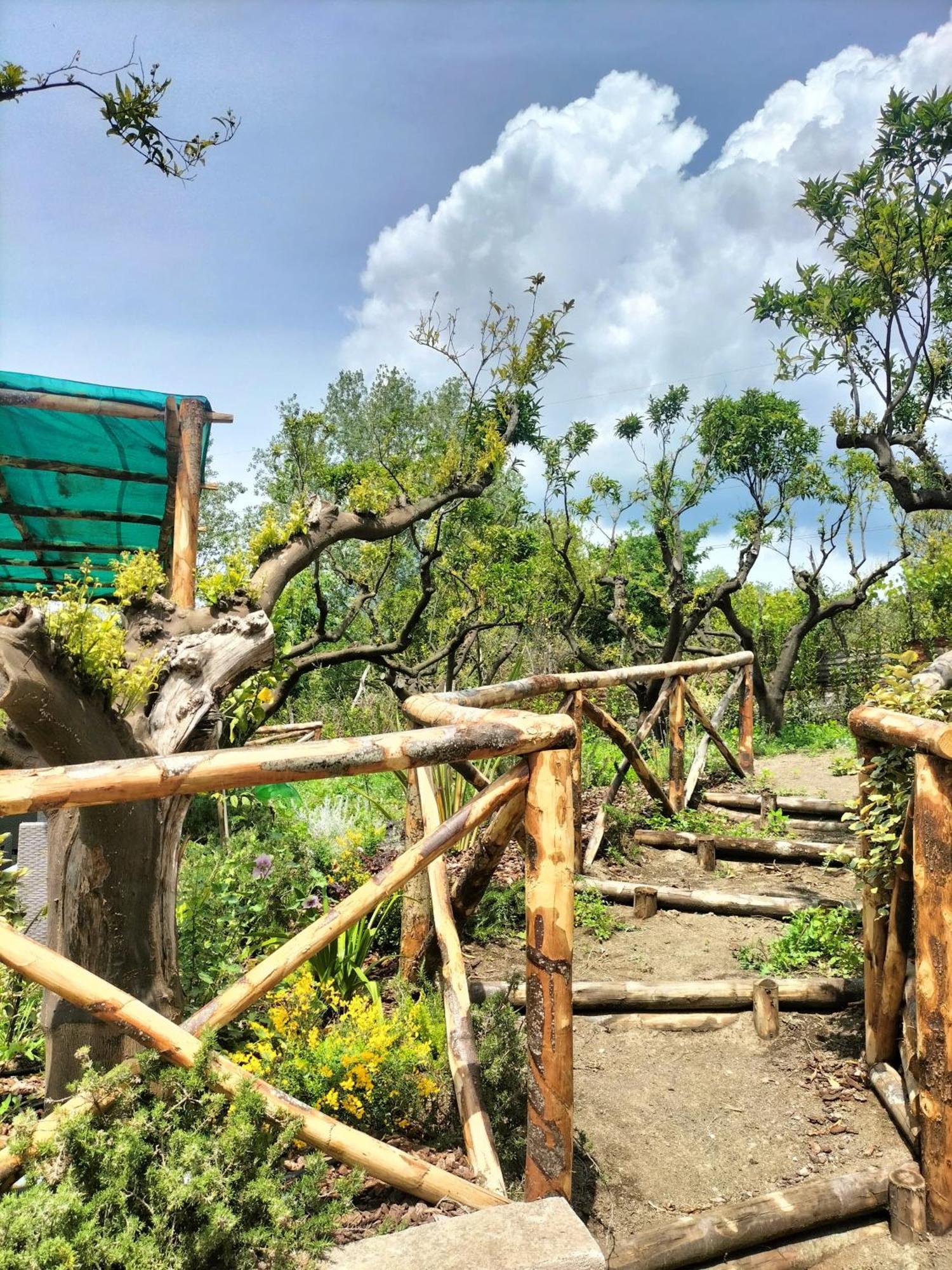 Vesuvio Inn Bed & Wine Experience Boscotrecase Bagian luar foto