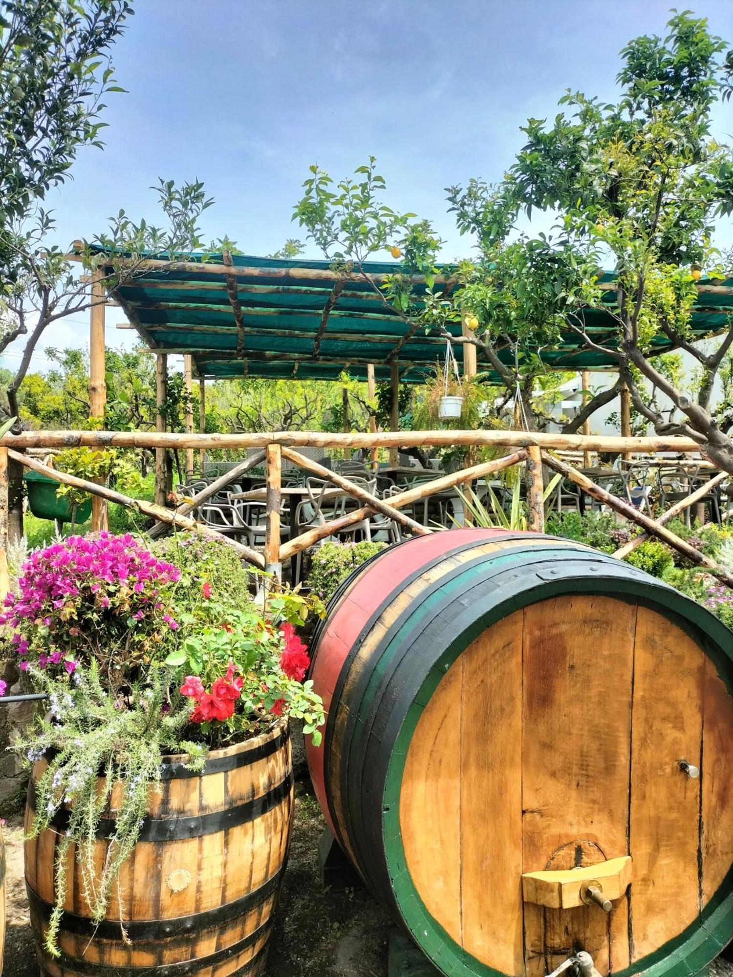Vesuvio Inn Bed & Wine Experience Boscotrecase Bagian luar foto